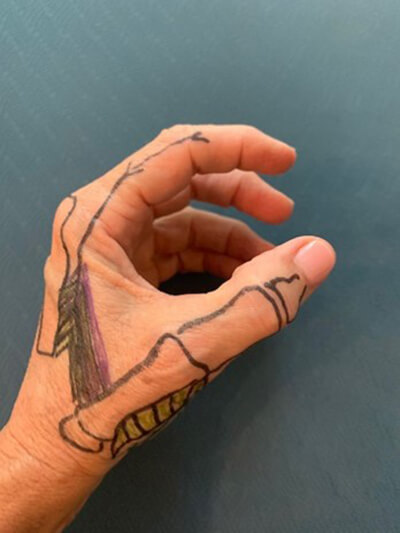 close-up of a person's hand with bones drawn on it